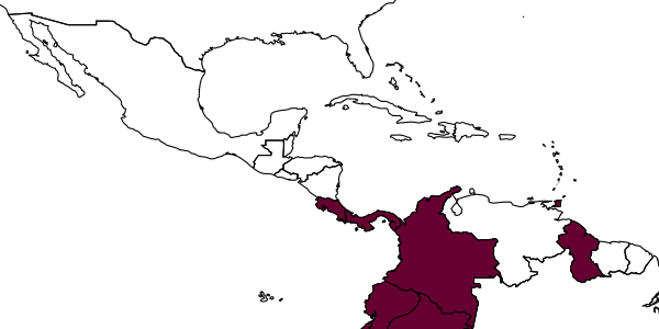 map of Quexua ricata     Leclerq, 1955