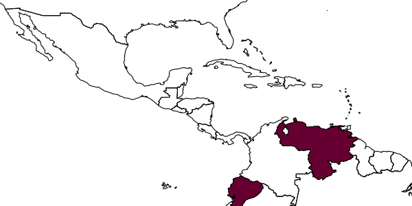 map of Incastigmus chincha     Finnamore, 2002
