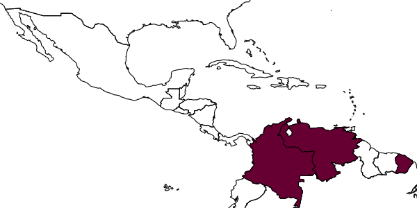 map of Phaenocarpa pericarpa     Wharton & Carrejo, 1999