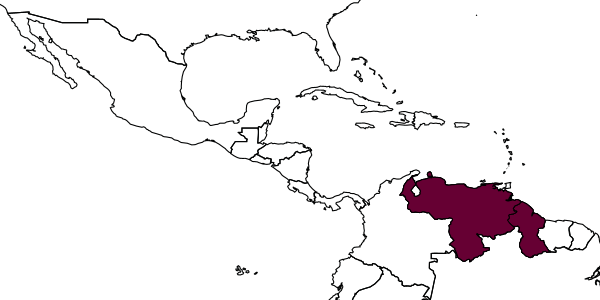 map of Eufriesea eburneocincta     (Kimsey, 1977)