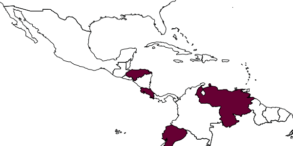 map of Exochus navitus     Gauld & Sithole, 2002
