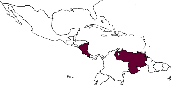 map of Anisepyris ancalagoni     Barbosa & Azevedo, 2018