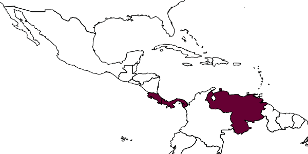 map of Enicospilus kelloggae     Gauld, 1988