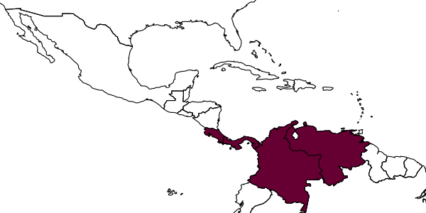 map of Aguiarina colombiensis     (Ceballos, 1926)