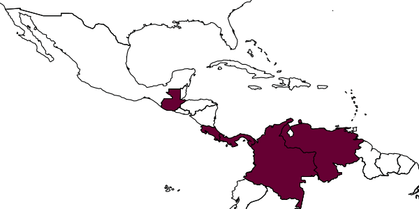 map of Sinepalpigramma longiciliatum     Viggiani & Pinto
