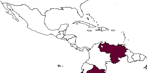 map of Opius paraitepuyensis     Fischer