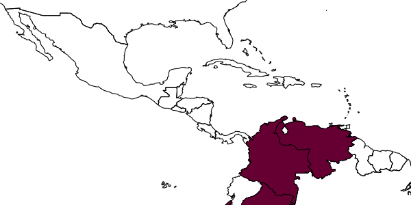 map of Rasopone conicula     (MacKay & MacKay, 2010)