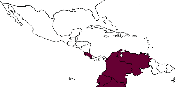 map of Bephrata lorraineae     Gates & Hanson, 2009