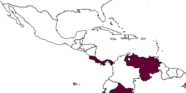 map of Fractipons dasyscutum     Bordera & González-Moreno, 2011
