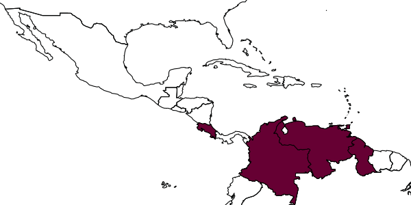 map of Linepithema neotropicum     Wild, 2007