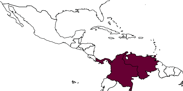 map of Isomerala bouceki     Heraty, 2005