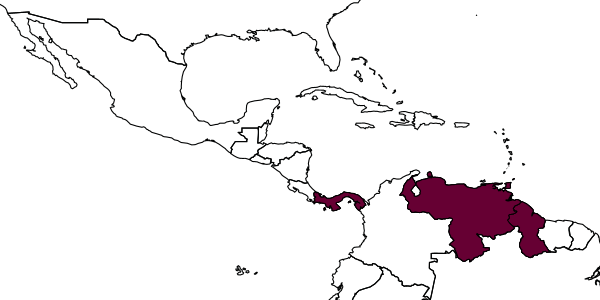 map of Leptofoenus westwoodi     (Ashmead)