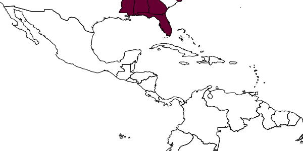 map of Triepeolus quadrifasciatus  atlanticus   Mitchell, 1962