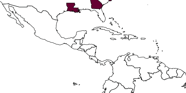 map of Lasioglossum oenotherae     (Stevens, 1920)