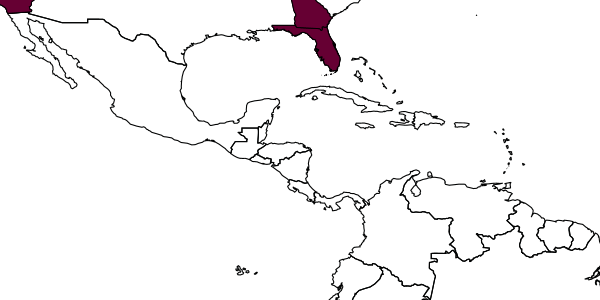 map of Mastrus carpocapsae     (Cushman, 1915)