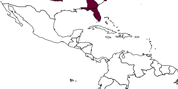 map of Nomada illinoensis     Robertson, 1900