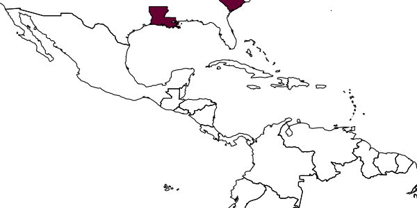 map of Cryptanura septentrionalis     Cushman, 1945