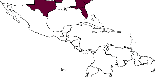 map of Netanyacra leucopus     Heinrich, 1968