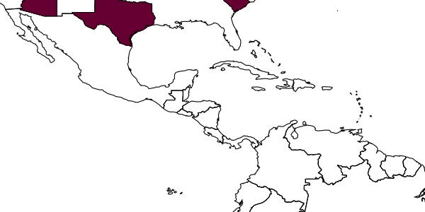 map of Arachnophaga frontalis     Gahan, 1943