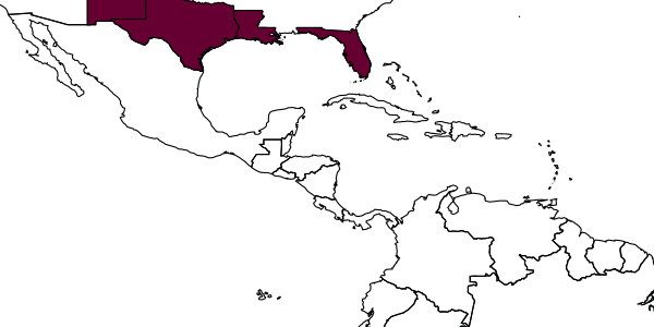 map of Orasema coloradensis     Wheeler, 1907