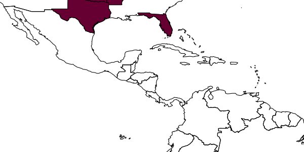 map of Andricus biconicus     Weld, 1926
