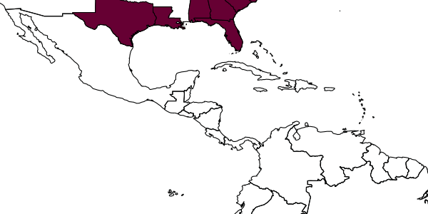 map of Andrena ilicis     Mitchell, 1960
