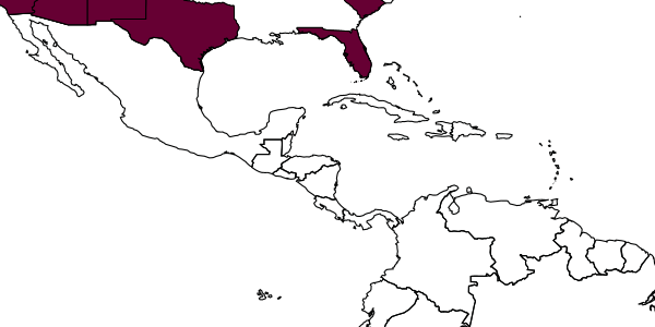 map of Andrena illinoiensis     Robertson, 1891
