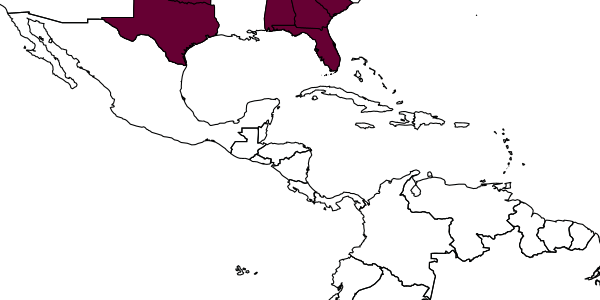 map of Amphibolips acuminatus     Ashmead