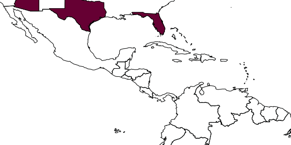 map of Telenomus zeli     Johnson, 1984
