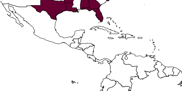 map of Sphecodes atlantis     Mitchell, 1956