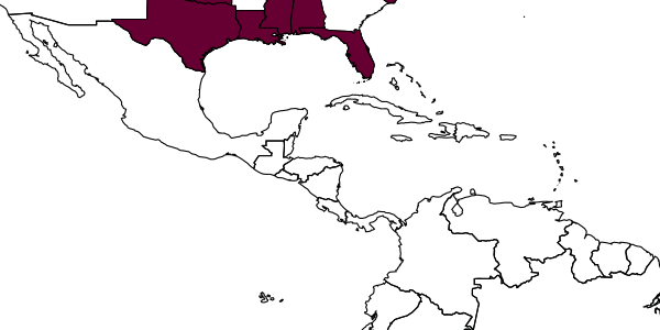 map of Andrena macra     Mitchell, 1951