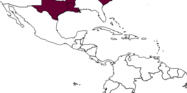 map of Diapetimorpha rugosa     Townes, in Townes & Townes, 1962