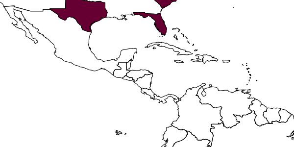 map of Gelanes brevicornis     Horstmann, 2013
