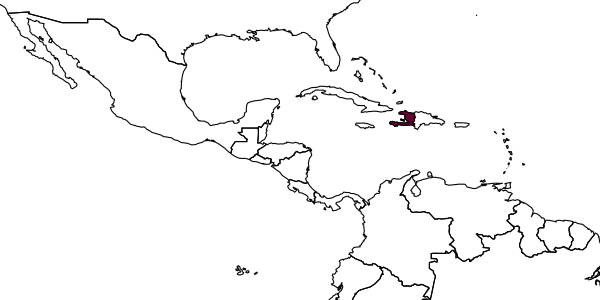 map of Augochlora haitiensis     (Vachal, 1911)