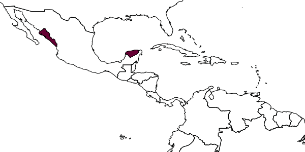 map of Anagrus oahuensis     Triapitsyn & Beardsley, 2000