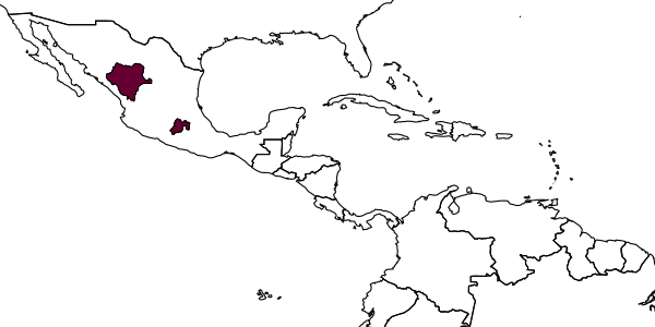 map of Sinophorus neoprocerus     Sanborne, 1984