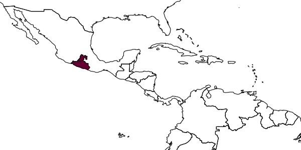 map of Synergus tenebrosus     Lobato-Vila and Pujade-Villar, in Lobato-Vila et al., 2019