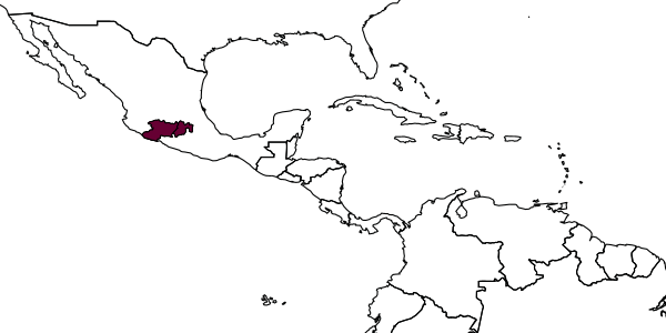 map of Krombeinia morelia     Allen & Krombein, 1963