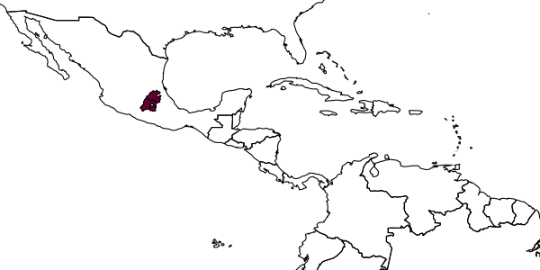 map of Chilicola mexicana     Toro & Michener, 1975