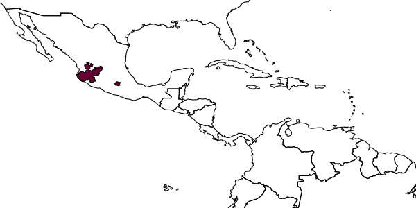 map of Svastra nitida     (LaBerge, 1956)
