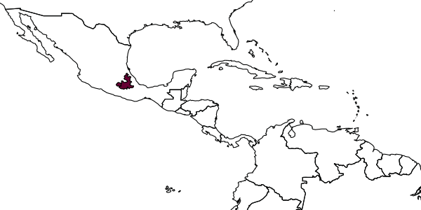 map of Protandrena tessellata     Timberlake, 1976