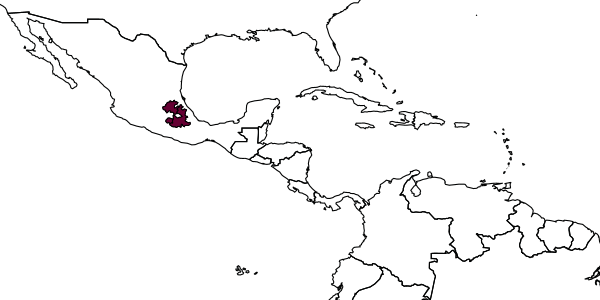 map of Synergus estradae     Pujade-Villar & Lobato-Vila, in Pujade-Villar et al., 2016
