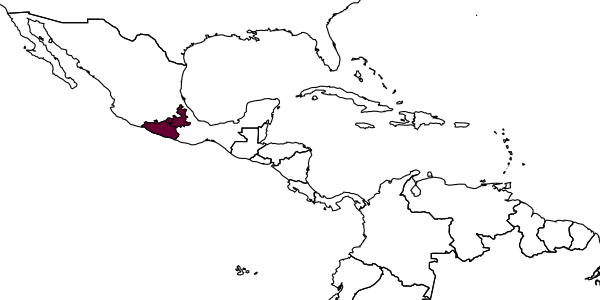 map of Agathirsia asterophila     Pucci & Sharkey, 2004