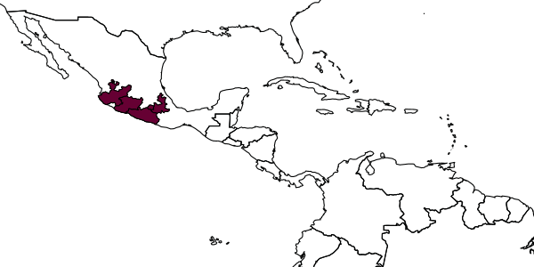 map of Moniaecera alexanderi     Leclercq, 2003