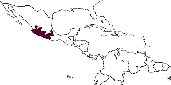 map of Cephalotrigona eburneiventer     Schwarz, 1948