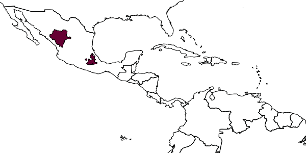 map of Arachnospila anomala  durangoana   Evans, 1953