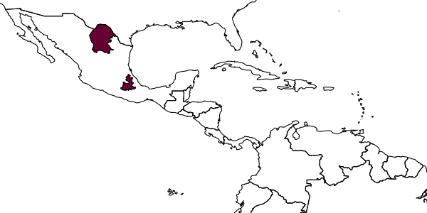 map of Scambus longicoxa     Khalaim, in Khalaim & Ruíz-Cancino, 2022