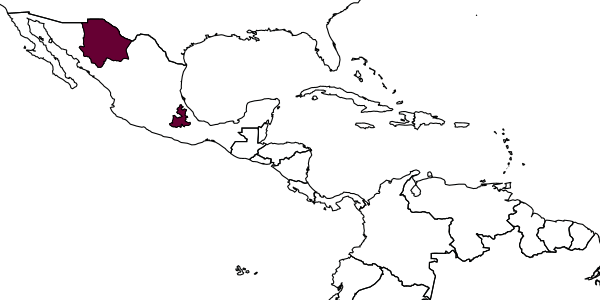 map of Cephalastor mariachi     Garcete-Barrett, 2001