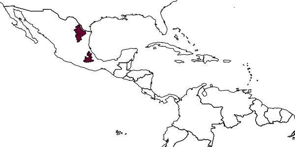 map of Agathirsia rostrata     Pucci & Sharkey, 2004