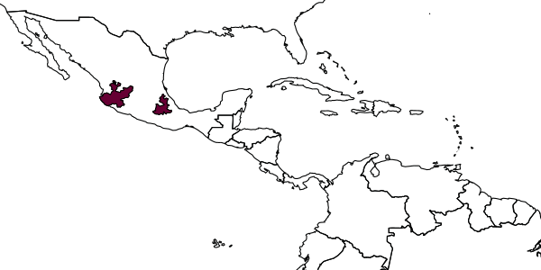 map of Perdita mexicanorum     Cockerell, 1986